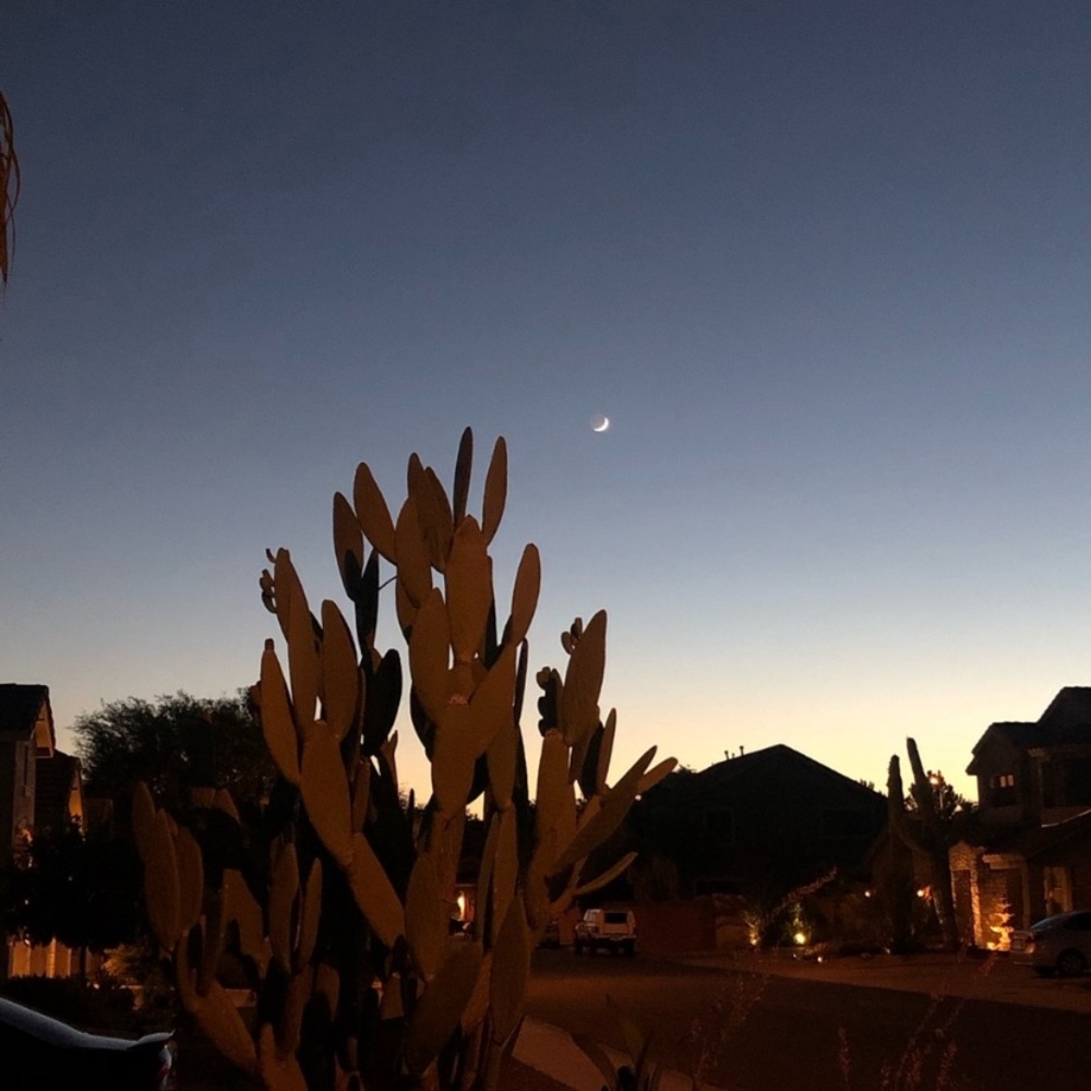 Welcome - Picture 11 of 14